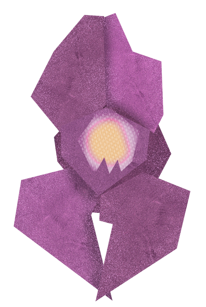 Balsamine